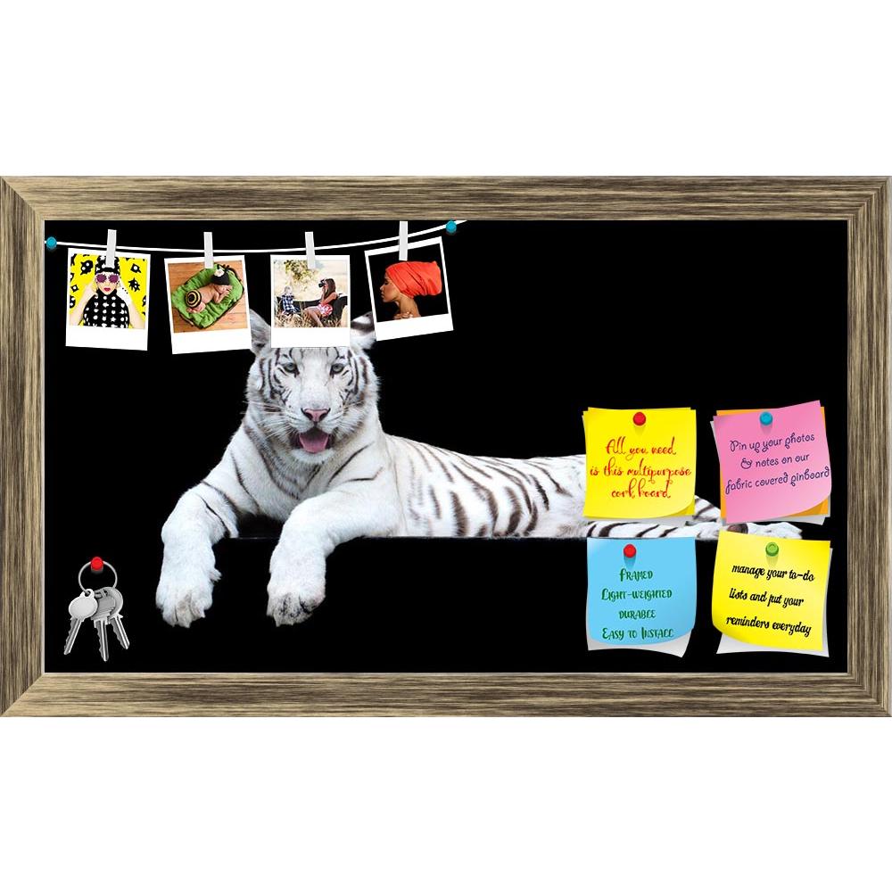 ArtzFolio Tiger Albino Printed Bulletin Board Notice Pin Board Soft Board | Framed-Bulletin Boards Framed-AZSAO10701283BLB_FR_L-Image Code 5000527 Vishnu Image Folio Pvt Ltd, IC 5000527, ArtzFolio, Bulletin Boards Framed, Animals, Photography, tiger, albino, printed, bulletin, board, notice, pin, soft, framed, picture, high-res, artistic, background, striped, stripy, africa, animal, brown, carnivore, cat, closeup, creature, cute, dangerous, eye, fang, feline, front, fur, furry, head, hunter, kitten, leaders