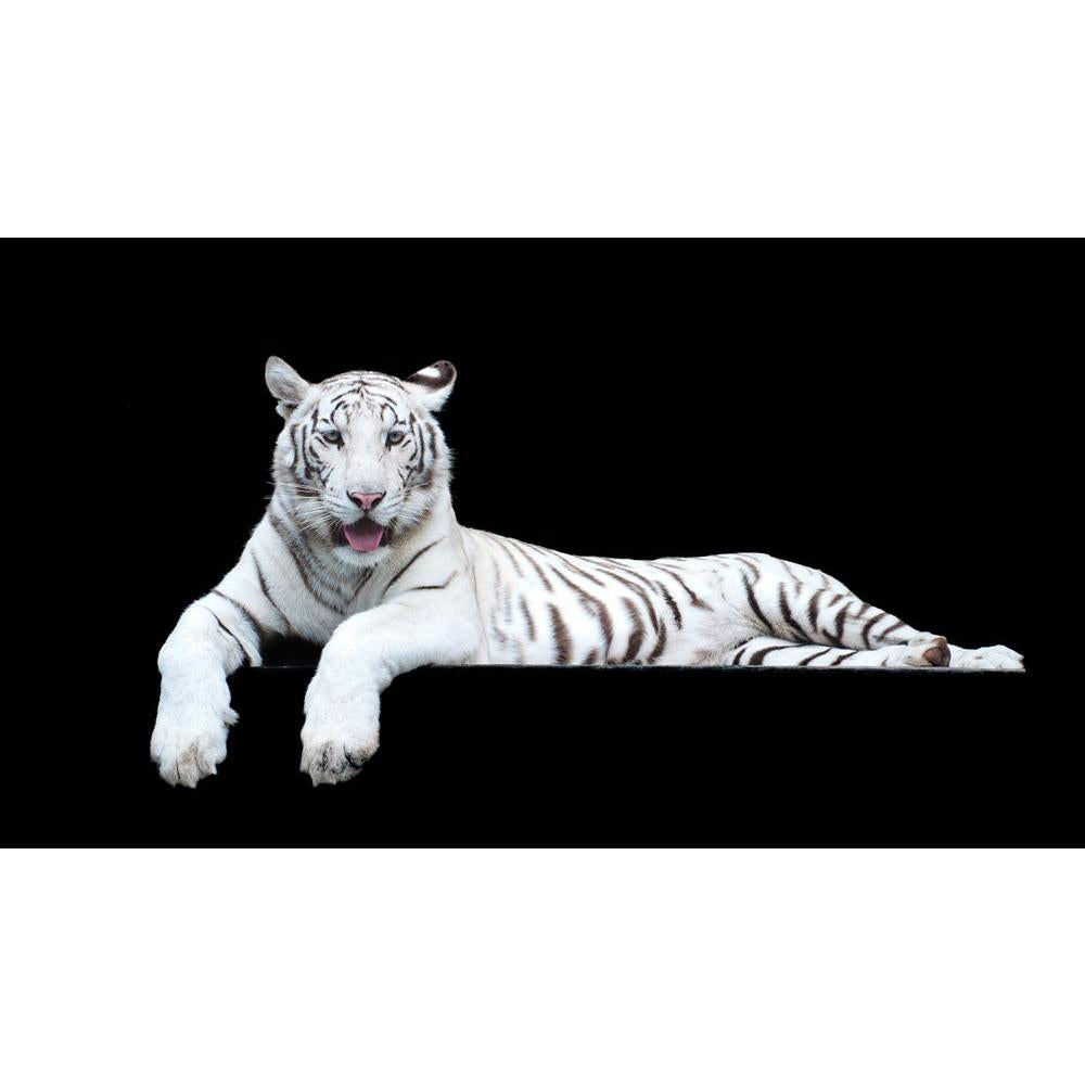 Pitaara Box Tiger Albino Unframed Canvas Painting-Paintings Unframed Regular-PBART10701283AFF_UN_L-Image Code 5000527 Vishnu Image Folio Pvt Ltd, IC 5000527, Pitaara Box, Paintings Unframed Regular, Animals, Photography, tiger, albino, unframed, canvas, painting, picture, high-res, artistic, background, striped, stripy, africa, animal, brown, carnivore, cat, closeup, creature, cute, dangerous, eye, fang, feline, front, fur, furry, head, hunter, kitten, leadership, majestic, male, mammal, mouth, muzzle, natu
