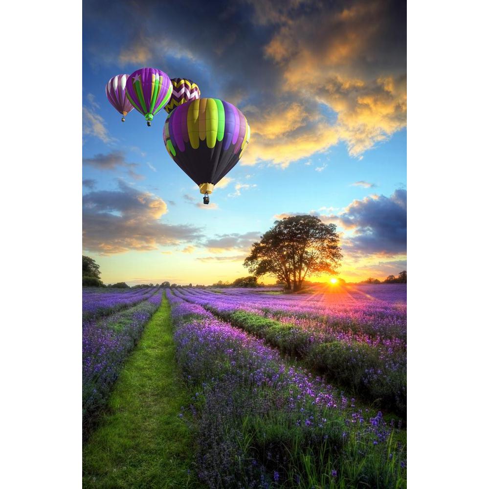 Sunset With Atmospheric Clouds & Hot Air Balloon Canvas Painting Synthetic Frame-Paintings MDF Framing-AFF_FR-IC 5000547 IC 5000547, English, Hobbies, Landscapes, Nature, Scenic, Sunsets, sunset, with, atmospheric, clouds, hot, air, balloon, canvas, painting, synthetic, frame, landscape, balloons, england, lavender, essential, oils, field, alternative, beautiful, botany, color, colorful, countryside, crop, dusk, evening, fields, flying, foliage, formation, green, harvest, hobby, leisure, lines, medicine, na