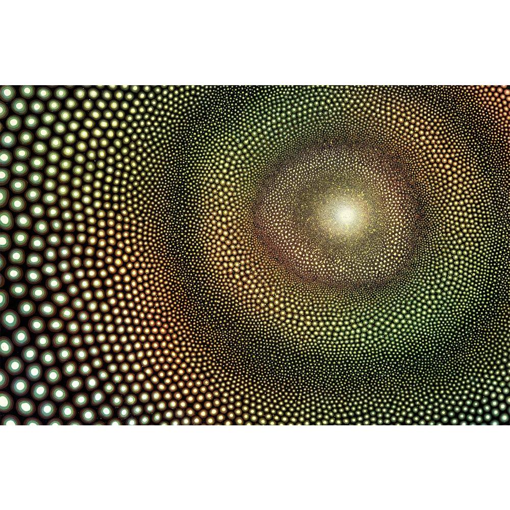 ArtzFolio Abstract Picture Named Impulse Unframed Paper Poster-Paper Posters Unframed-AZART10917632POS_UN_L-Image Code 5000569 Vishnu Image Folio Pvt Ltd, IC 5000569, ArtzFolio, Paper Posters Unframed, Abstract, Fine Art Reprint, picture, named, impulse, unframed, paper, poster, wall, large, size, for, living, room, home, decoration, big, framed, decor, posters, pitaara, box, modern, art, with, frame, bedroom, amazonbasics, door, drawing, small, decorative, office, reception, multiple, friends, images, repr