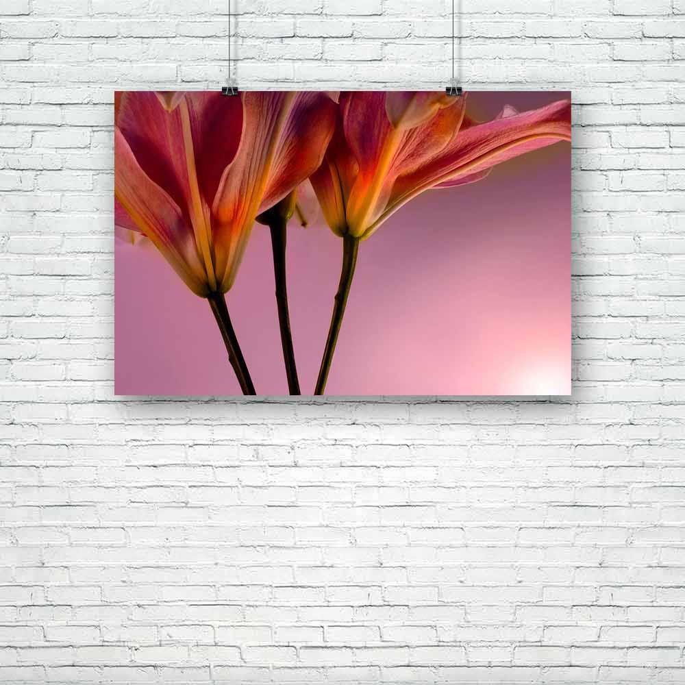 Pink Tiger Lilly D1 Unframed Paper Poster-Paper Posters Unframed-POS_UN-IC 5000588 IC 5000588, Botanical, Floral, Flowers, Love, Nature, Romance, pink, tiger, lilly, d1, unframed, paper, poster, blossom, bouquet, elegant, fall, flower, fragrance, garden, gift, graceful, growth, leaf, leaves, lillies, macro, passion, pest, pretty, seasonal, smell, soft, springtime, summer, valentine, wildflower, yard, youth, artzfolio, posters, wall posters, posters for room, posters for room decoration, office poster, door 