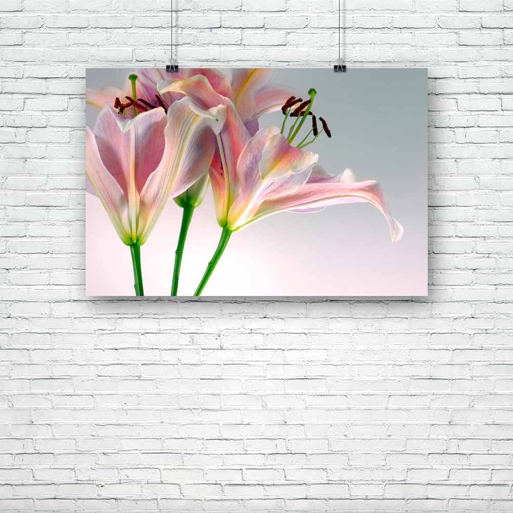 Pink Tiger Lilly D2 Unframed Paper Poster-Paper Posters Unframed-POS_UN-IC 5000589 IC 5000589, Botanical, Floral, Flowers, Love, Nature, Romance, pink, tiger, lilly, d2, unframed, paper, poster, blossom, bouquet, elegant, fall, flower, fragrance, garden, gift, graceful, growth, leaf, leaves, lillies, macro, passion, pest, pretty, seasonal, smell, soft, springtime, summer, valentine, wildflower, yard, youth, artzfolio, posters, wall posters, posters for room, posters for room decoration, office poster, door 