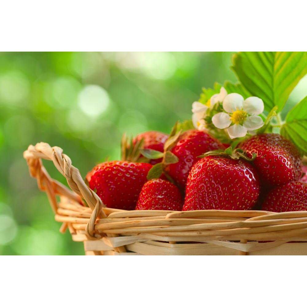 Photo of Strawberries In A Basket In The Garden Canvas Painting Synthetic Frame-Paintings MDF Framing-AFF_FR-IC 5000661 IC 5000661, Botanical, Cuisine, Floral, Flowers, Food, Food and Beverage, Food and Drink, Fruit and Vegetable, Fruits, Nature, Scenic, photo, of, strawberries, in, a, basket, the, garden, canvas, painting, synthetic, frame, strawberry, fruit, berry, collect, flavor, fragrant, fresh, gardening, green, harvest, leaves, nice, red, summer, sweet, tasty, vitamins, yummy, artzfolio, wall decor f
