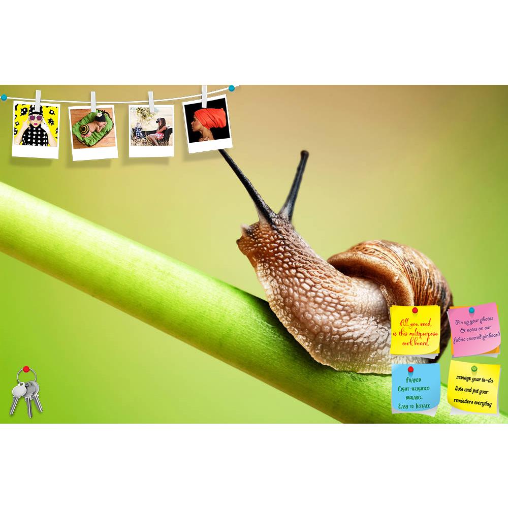ArtzFolio Snail Crawling On Green Stem Printed Bulletin Board Notice Pin Board Soft Board | Frameless-Bulletin Boards Frameless-AZSAO11413271BLB_FL_L-Image Code 5000700 Vishnu Image Folio Pvt Ltd, IC 5000700, ArtzFolio, Bulletin Boards Frameless, Animals, Photography, snail, crawling, on, green, stem, printed, bulletin, board, notice, pin, soft, frameless, common, garden, plant, pin up board, push pin board, extra large cork board, big pin board, notice board, small bulletin board, cork board, wall notice b