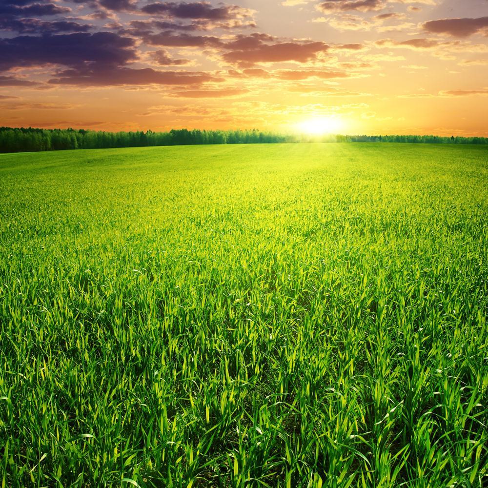 Beautiful Sunset Canvas Painting Synthetic Frame-Paintings MDF Framing-AFF_FR-IC 5000744 IC 5000744, Culture, Ethnic, Landscapes, Mountains, Nature, Rural, Scenic, Seasons, Sunrises, Sunsets, Traditional, Tribal, Urban, World Culture, beautiful, sunset, canvas, painting, synthetic, frame, agriculture, blue, bright, cloud, cloudscape, color, dark, day, dusk, environment, evening, farm, field, freedom, grass, green, growth, herb, hill, horizon, idyllic, land, landscape, lawn, light, meadow, non, organic, outd