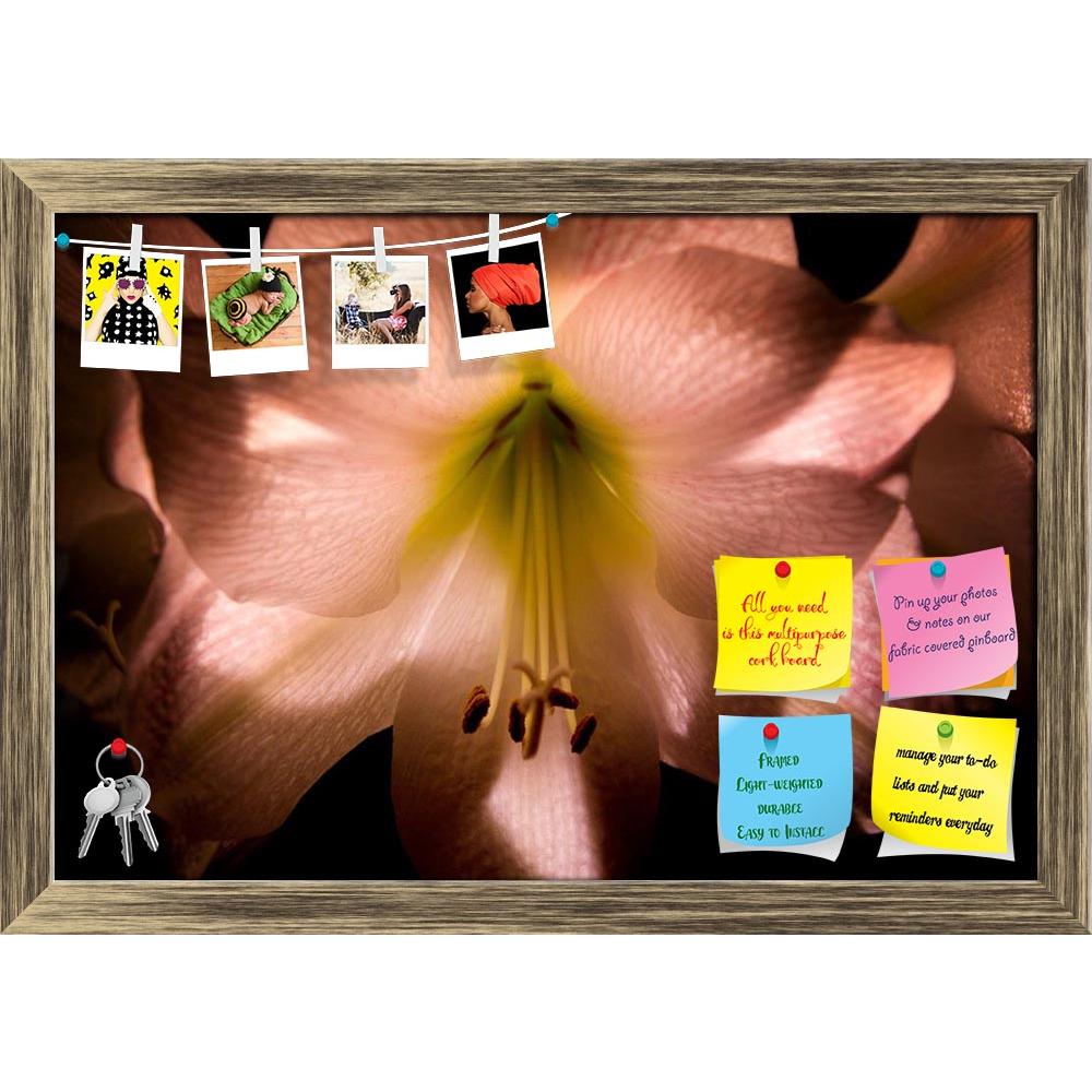 ArtzFolio Amaryllis Printed Bulletin Board Notice Pin Board Soft Board | Framed-Bulletin Boards Framed-AZSAO11739691BLB_FR_L-Image Code 5000752 Vishnu Image Folio Pvt Ltd, IC 5000752, ArtzFolio, Bulletin Boards Framed, Floral, Photography, amaryllis, printed, bulletin, board, notice, pin, soft, framed, pin up board, push pin board, extra large cork board, big pin board, notice board, small bulletin board, cork board, wall notice board, giant cork board, bulletin board, office notice board, office cork board