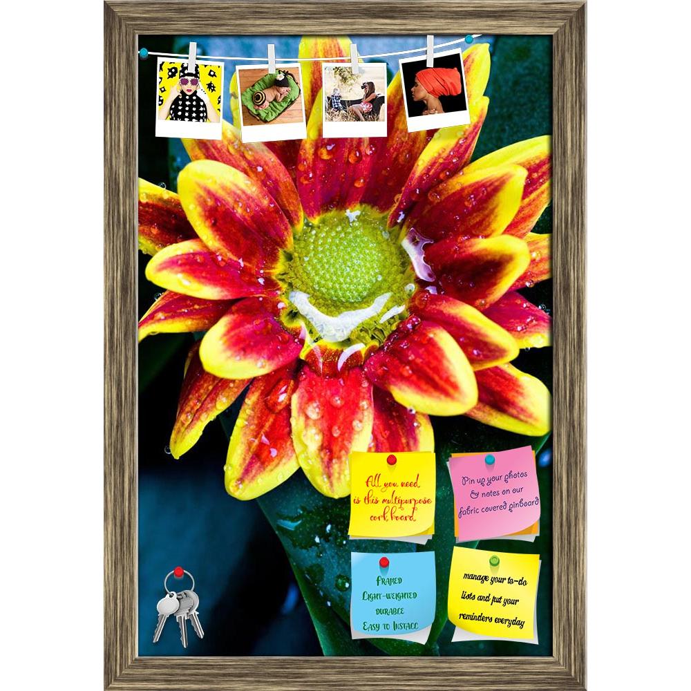 ArtzFolio Plants With The Morning Dew D1 Printed Bulletin Board Notice Pin Board Soft Board | Framed-Bulletin Boards Framed-AZSAO12093088BLB_FR_L-Image Code 5000842 Vishnu Image Folio Pvt Ltd, IC 5000842, ArtzFolio, Bulletin Boards Framed, Floral, Photography, plants, with, the, morning, dew, d1, printed, bulletin, board, notice, pin, soft, framed, diversely, pin up board, push pin board, extra large cork board, big pin board, notice board, small bulletin board, cork board, wall notice board, giant cork boa