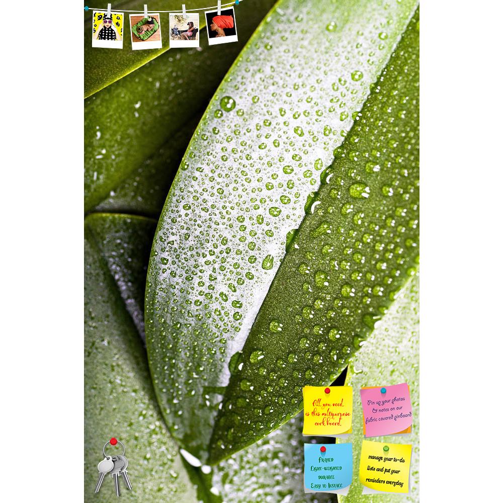 ArtzFolio Plants With The Morning Dew D2 Printed Bulletin Board Notice Pin Board Soft Board | Frameless-Bulletin Boards Frameless-AZSAO12093108BLB_FL_L-Image Code 5000843 Vishnu Image Folio Pvt Ltd, IC 5000843, ArtzFolio, Bulletin Boards Frameless, Floral, Photography, plants, with, the, morning, dew, d2, printed, bulletin, board, notice, pin, soft, frameless, diversely, pin up board, push pin board, extra large cork board, big pin board, notice board, small bulletin board, cork board, wall notice board, gi