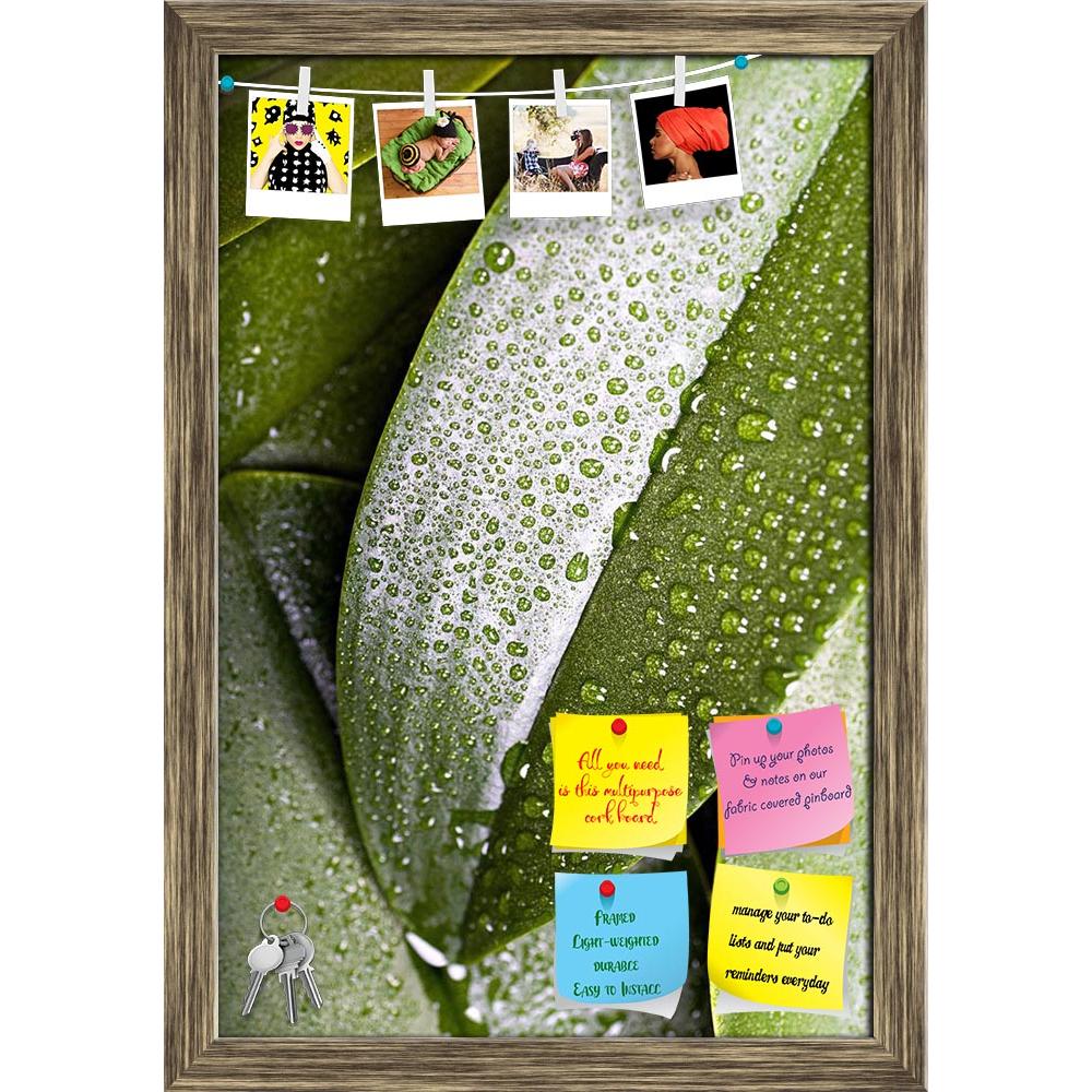 ArtzFolio Plants With The Morning Dew D2 Printed Bulletin Board Notice Pin Board Soft Board | Framed-Bulletin Boards Framed-AZSAO12093108BLB_FR_L-Image Code 5000843 Vishnu Image Folio Pvt Ltd, IC 5000843, ArtzFolio, Bulletin Boards Framed, Floral, Photography, plants, with, the, morning, dew, d2, printed, bulletin, board, notice, pin, soft, framed, diversely, pin up board, push pin board, extra large cork board, big pin board, notice board, small bulletin board, cork board, wall notice board, giant cork boa