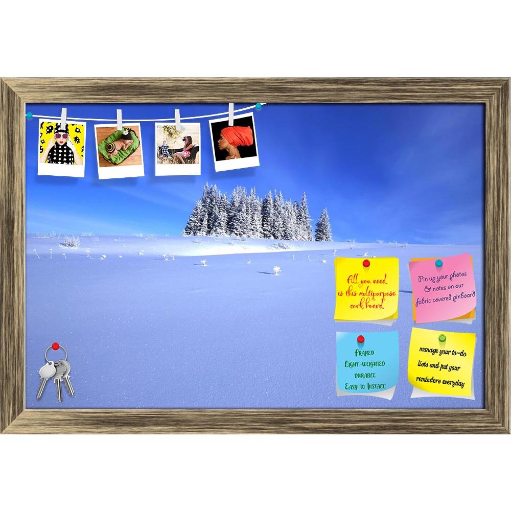 ArtzFolio Lone Grove Of Spruce Trees Printed Bulletin Board Notice Pin Board Soft Board | Framed-Bulletin Boards Framed-AZSAO12175928BLB_FR_L-Image Code 5000858 Vishnu Image Folio Pvt Ltd, IC 5000858, ArtzFolio, Bulletin Boards Framed, Places, Photography, lone, grove, of, spruce, trees, printed, bulletin, board, notice, pin, soft, framed, surrounded, snow, bright, blue, sky, pin up board, push pin board, extra large cork board, big pin board, notice board, small bulletin board, cork board, wall notice boar
