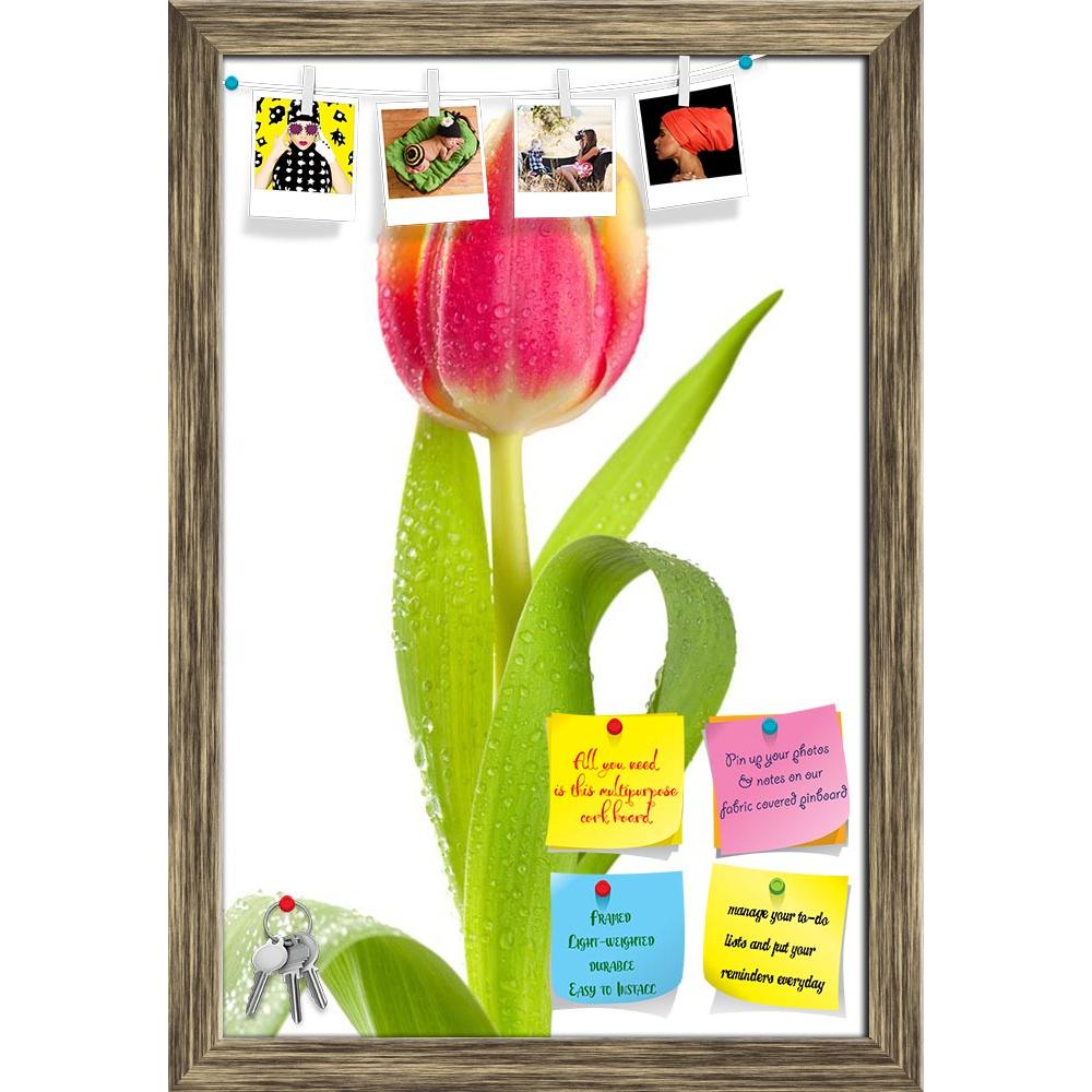 ArtzFolio Pink Tulip In Water Drops Printed Bulletin Board Notice Pin Board Soft Board | Framed-Bulletin Boards Framed-AZSAO12184887BLB_FR_L-Image Code 5000861 Vishnu Image Folio Pvt Ltd, IC 5000861, ArtzFolio, Bulletin Boards Framed, Floral, Photography, pink, tulip, in, water, drops, printed, bulletin, board, notice, pin, soft, framed, pin up board, push pin board, extra large cork board, big pin board, notice board, small bulletin board, cork board, wall notice board, giant cork board, bulletin board, of