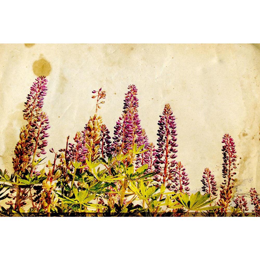 ArtzFolio Lupines Unframed Paper Poster-Paper Posters Unframed-AZART12247289POS_UN_L-Image Code 5000872 Vishnu Image Folio Pvt Ltd, IC 5000872, ArtzFolio, Paper Posters Unframed, Floral, Vintage, Fine Art Reprint, lupines, unframed, paper, poster, wall, large, size, for, living, room, home, decoration, big, framed, decor, posters, pitaara, box, modern, art, with, frame, bedroom, amazonbasics, door, drawing, small, decorative, office, reception, multiple, friends, images, reprints, reprint, kids, bathroom, d