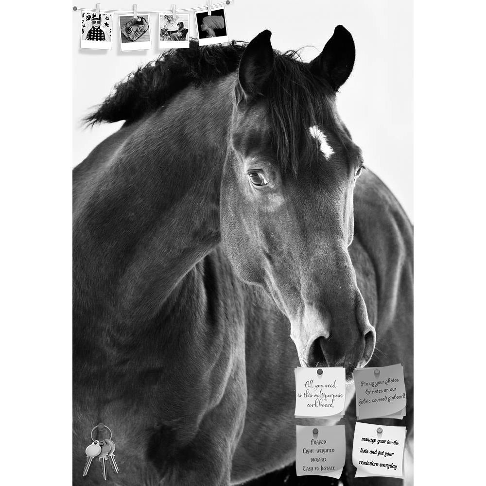 ArtzFolio Black Horse Portrait Printed Bulletin Board Notice Pin Board Soft Board | Frameless-Bulletin Boards Frameless-AZSAO12377794BLB_FL_L-Image Code 5000884 Vishnu Image Folio Pvt Ltd, IC 5000884, ArtzFolio, Bulletin Boards Frameless, Animals, Photography, black, horse, portrait, printed, bulletin, board, notice, pin, soft, frameless, grey, background, white, agriculture, ancient, animal, beautiful, bohemia, breed, carriage, czech, dark, domestic, elbe, elegant, equestrian, equine, europe, eye, grass, h