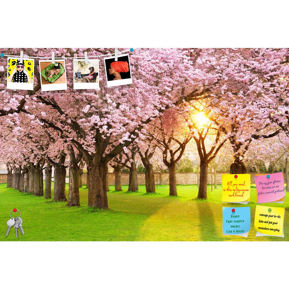 ArtzFolio Cherry Tree Garden Printed Bulletin Board Notice Pin Board Soft Board | Frameless-Bulletin Boards Frameless-AZSAO12394263BLB_FL_L-Image Code 5000885 Vishnu Image Folio Pvt Ltd, IC 5000885, ArtzFolio, Bulletin Boards Frameless, Landscapes, Photography, cherry, tree, garden, printed, bulletin, board, notice, pin, soft, frameless, richly, blossoming, lawn, sun, shining, through, branches, pin up board, push pin board, extra large cork board, big pin board, notice board, small bulletin board, cork boa