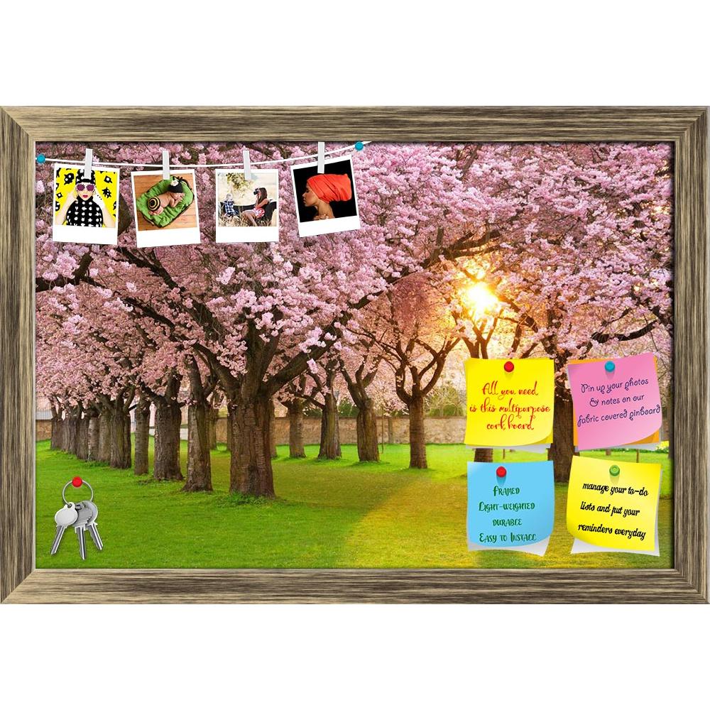 ArtzFolio Cherry Tree Garden Printed Bulletin Board Notice Pin Board Soft Board | Framed-Bulletin Boards Framed-AZSAO12394263BLB_FR_L-Image Code 5000885 Vishnu Image Folio Pvt Ltd, IC 5000885, ArtzFolio, Bulletin Boards Framed, Landscapes, Photography, cherry, tree, garden, printed, bulletin, board, notice, pin, soft, framed, richly, blossoming, lawn, sun, shining, through, branches, pin up board, push pin board, extra large cork board, big pin board, notice board, small bulletin board, cork board, wall not