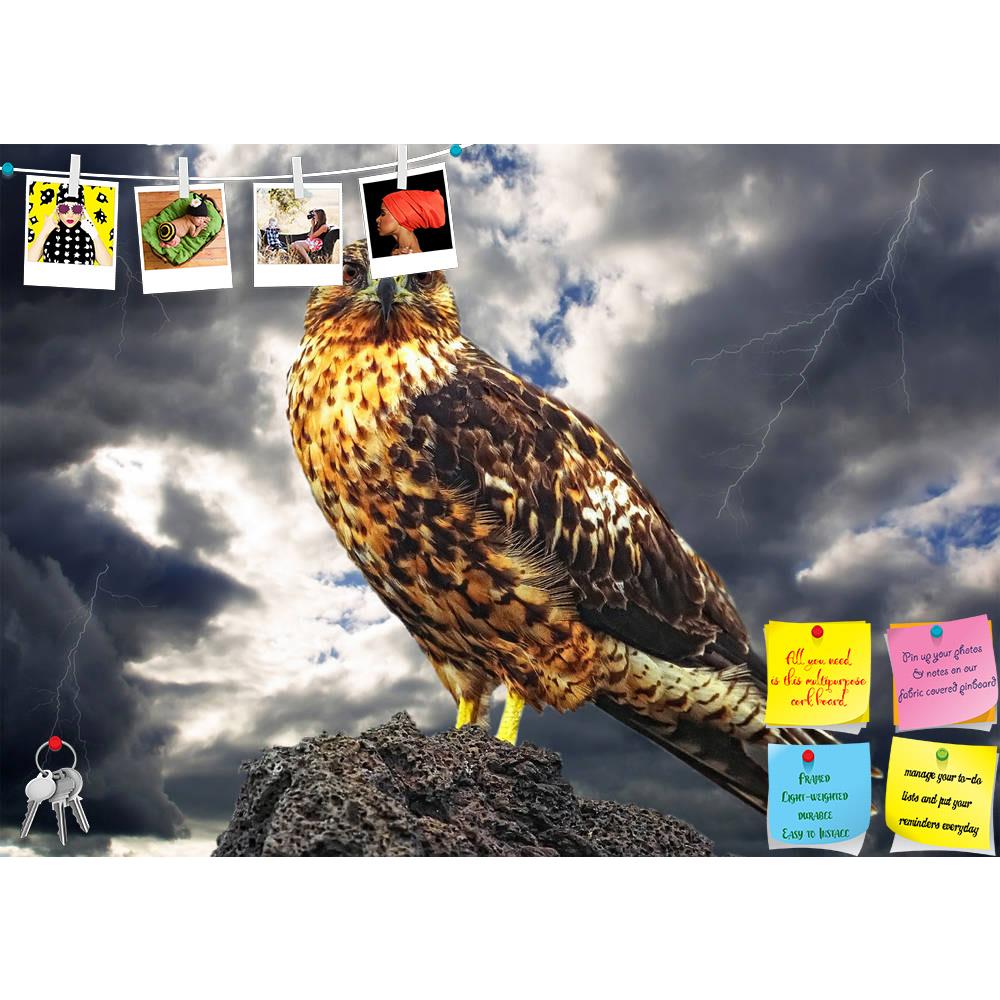 ArtzFolio Galapagos Eagle Printed Bulletin Board Notice Pin Board Soft Board | Frameless-Bulletin Boards Frameless-AZSAO12420112BLB_FL_L-Image Code 5000890 Vishnu Image Folio Pvt Ltd, IC 5000890, ArtzFolio, Bulletin Boards Frameless, Birds, Photography, galapagos, eagle, printed, bulletin, board, notice, pin, soft, frameless, under, dark, sky, bird, nature, animal, storm, brown, light, one, american, wildlife, cloud, beak, eye, photo, america, nobody, sharp, horizontal, feather, freedom, sit, contour, pluma