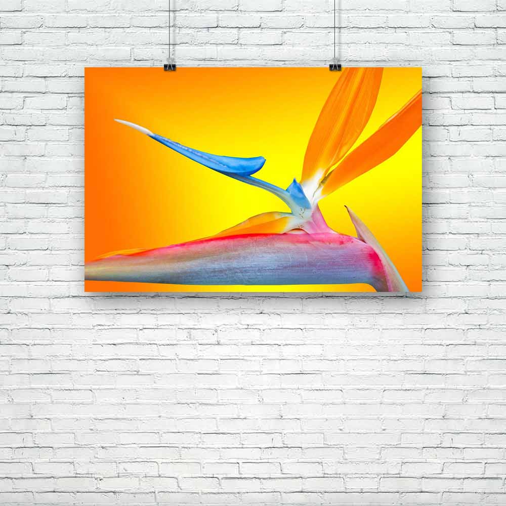Paradise Flower Unframed Paper Poster-Paper Posters Unframed-POS_UN-IC 5000898 IC 5000898, Birds, Botanical, Floral, Flowers, Nature, Scenic, Signs, Signs and Symbols, Tropical, paradise, flower, unframed, paper, poster, arrangement, background, bird, of, botany, bouquet, color, colorful, colourful, decoration, design, exotic, flora, foliage, fresh, freshness, garden, gardening, green, intense, isolated, leaf, macro, natural, one, orange, plant, pretty, purple, red, single, spring, strelitzia, summer, tropi