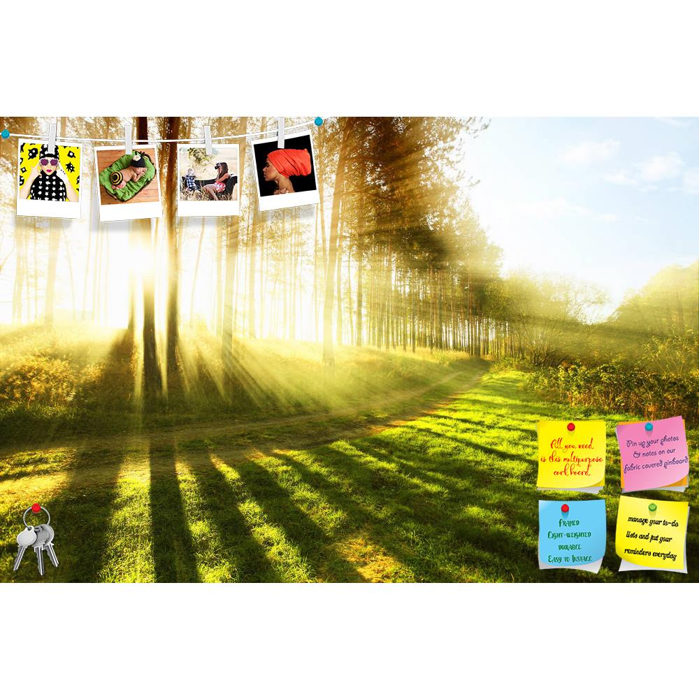 ArtzFolio Sunny Forest Printed Bulletin Board Notice Pin Board Soft Board | Frameless-Bulletin Boards Frameless-AZSAO12479658BLB_FL_L-Image Code 5000900 Vishnu Image Folio Pvt Ltd, IC 5000900, ArtzFolio, Bulletin Boards Frameless, Landscapes, Photography, sunny, forest, printed, bulletin, board, notice, pin, soft, frameless, early, morning, fog, ray, sun, sky, road, tree, park, view, sand, leaf, dark, wood, blue, mist, dawn, pine, beam, shine, green, night, light, branch, misty, scene, autumn, travel, brigh