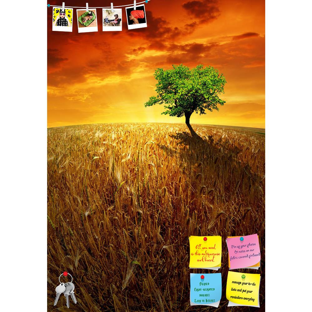 ArtzFolio Sunset Over Wheat Fields Printed Bulletin Board Notice Pin Board Soft Board | Frameless-Bulletin Boards Frameless-AZSAO12725204BLB_FL_L-Image Code 5000942 Vishnu Image Folio Pvt Ltd, IC 5000942, ArtzFolio, Bulletin Boards Frameless, Landscapes, Photography, sunset, over, wheat, fields, printed, bulletin, board, notice, pin, soft, frameless, agricultural, agriculture, beautiful, clear, clouds, cloudy, country, countryside, crops, dramatic, environment, farm, farming, field, flour, fresh, grass, gro