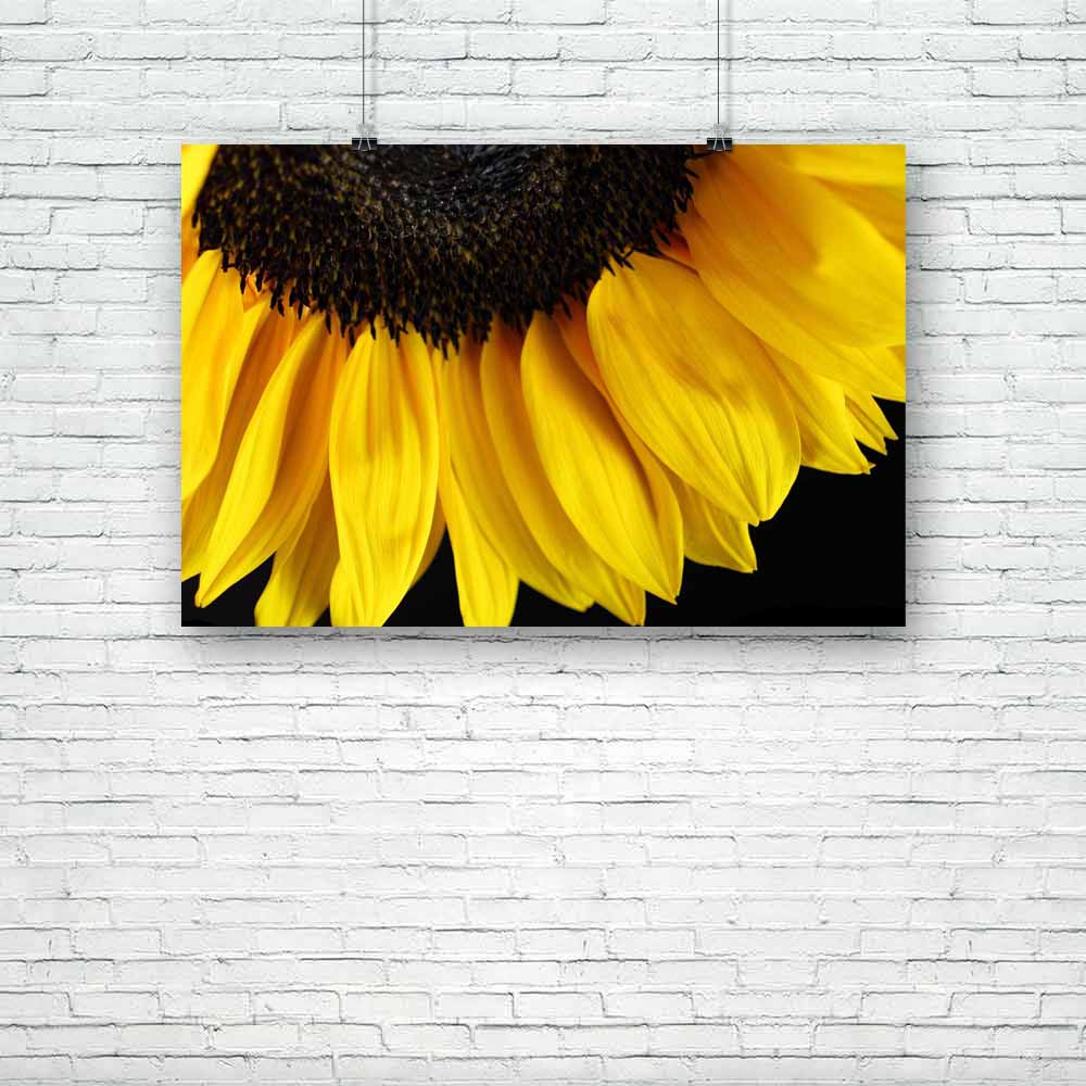 Sunflower D3 Unframed Paper Poster-Paper Posters Unframed-POS_UN-IC 5000947 IC 5000947, Abstract Expressionism, Abstracts, Black, Black and White, Botanical, Floral, Flowers, Nature, Semi Abstract, sunflower, d3, unframed, paper, poster, sunflowers, abstract, background, beautiful, beauty, bloom, blooming, blooms, blossom, blossoms, closeup, flora, flower, gold, golden, isolated, macro, petal, petals, summer, sun, vibrant, vivid, warm, warmth, yellow, artzfolio, posters, wall posters, posters for room, post
