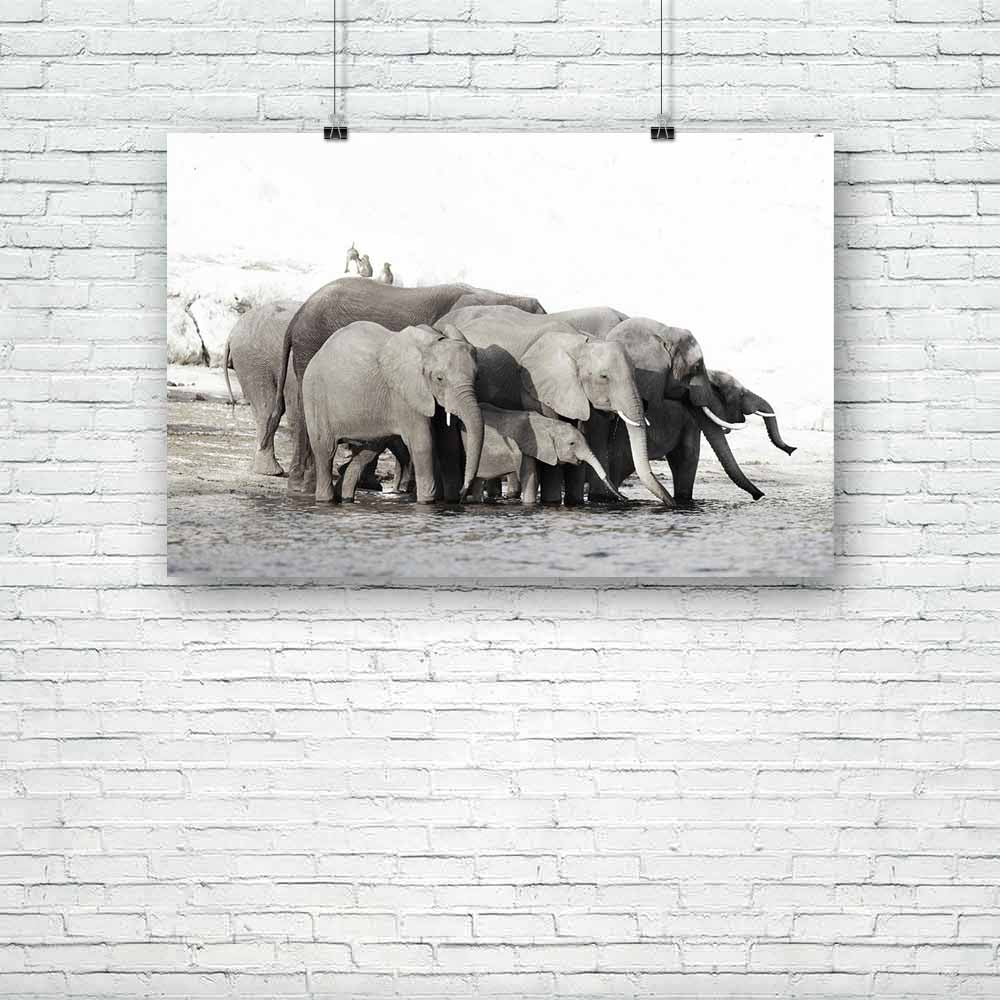 A Herd Of African Elephants Unframed Paper Poster-Paper Posters Unframed-POS_UN-IC 5000955 IC 5000955, African, Black, Black and White, God Ram, Hinduism, Panorama, Space, Sunrises, Sunsets, White, Wildlife, a, herd, of, elephants, unframed, paper, poster, africa, and, botswana, bw, conservation, copyspace, drink, drinking, ears, eco, elephant, grey, group, mammal, outdoors, park, river, safari, stand, standing, sunrise, sunset, trunks, veld, water, wild, young, artzfolio, posters, wall posters, posters for