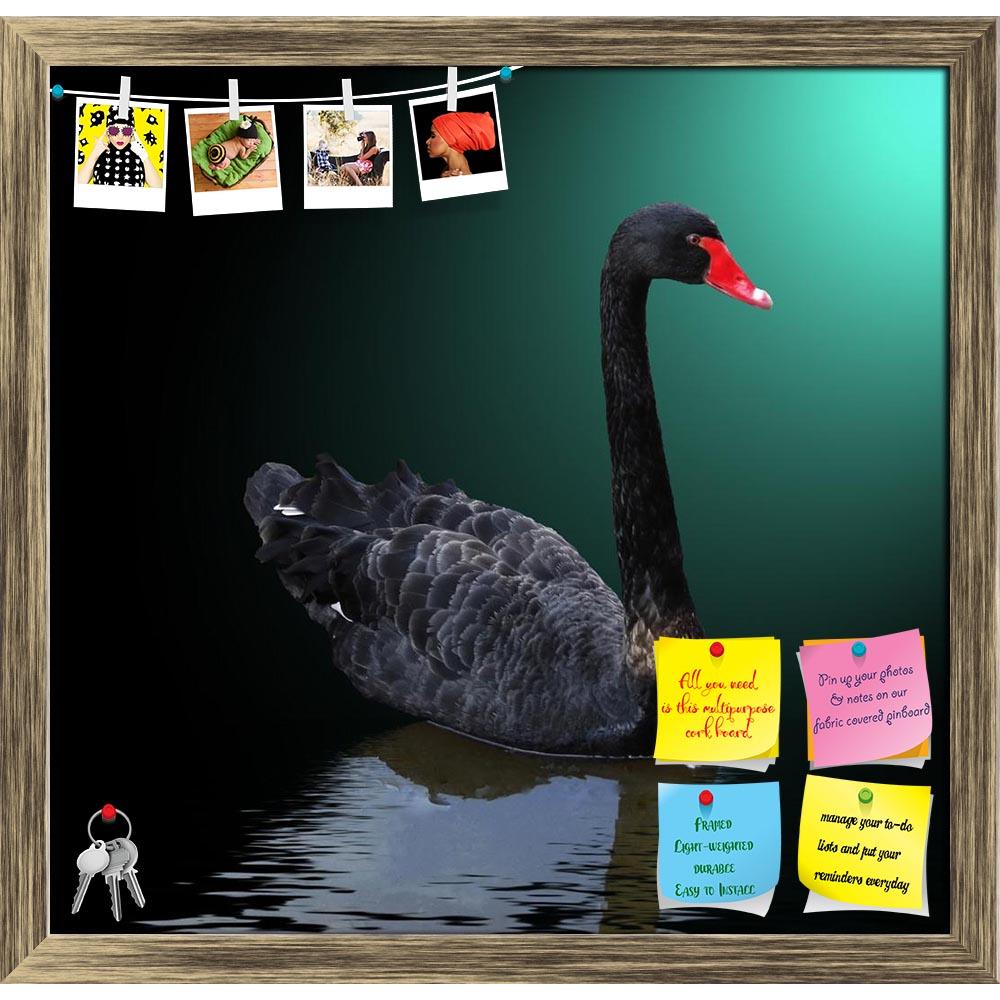 ArtzFolio Black Swan On The Water Printed Bulletin Board Notice Pin Board Soft Board | Framed-Bulletin Boards Framed-AZSAO12930647BLB_FR_L-Image Code 5000983 Vishnu Image Folio Pvt Ltd, IC 5000983, ArtzFolio, Bulletin Boards Framed, Birds, Photography, black, swan, on, the, water, printed, bulletin, board, notice, pin, soft, framed, pin up board, push pin board, extra large cork board, big pin board, notice board, small bulletin board, cork board, wall notice board, giant cork board, bulletin board, office 