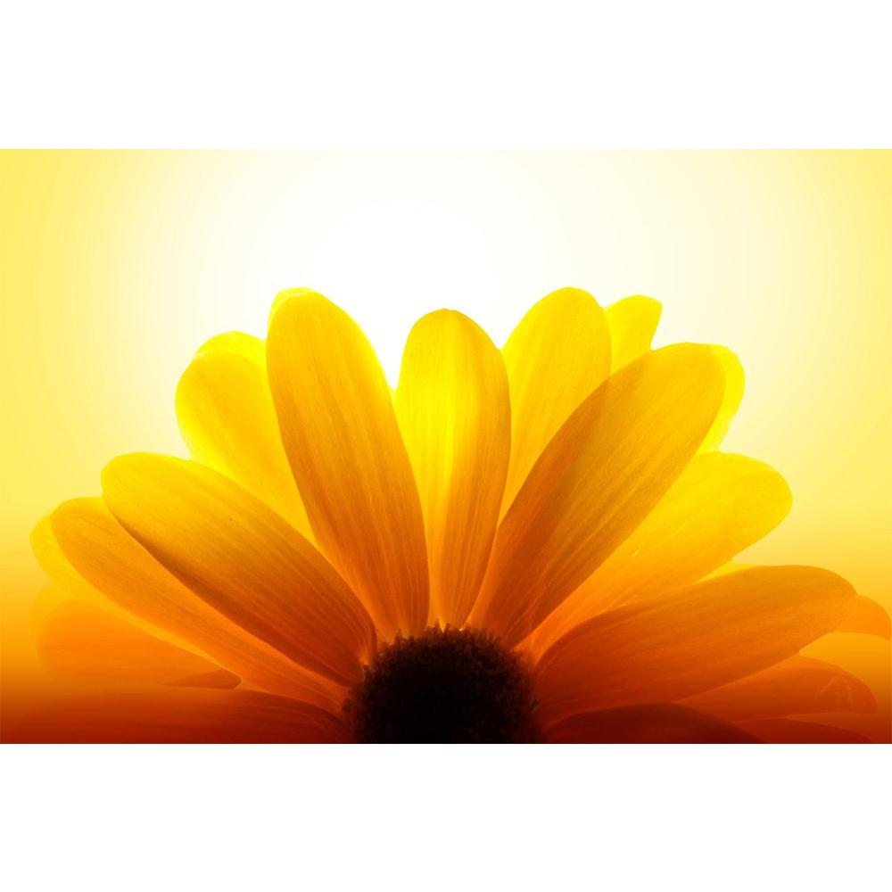 ArtzFolio Sunflower D5 Unframed Paper Poster-Paper Posters Unframed-AZART12936281POS_UN_L-Image Code 5000985 Vishnu Image Folio Pvt Ltd, IC 5000985, ArtzFolio, Paper Posters Unframed, Floral, Photography, sunflower, d5, unframed, paper, poster, wall, large, size, for, living, room, home, decoration, big, framed, decor, posters, pitaara, box, modern, art, with, frame, bedroom, amazonbasics, door, drawing, small, decorative, office, reception, multiple, friends, images, reprints, reprint, kids, bathroom, desi