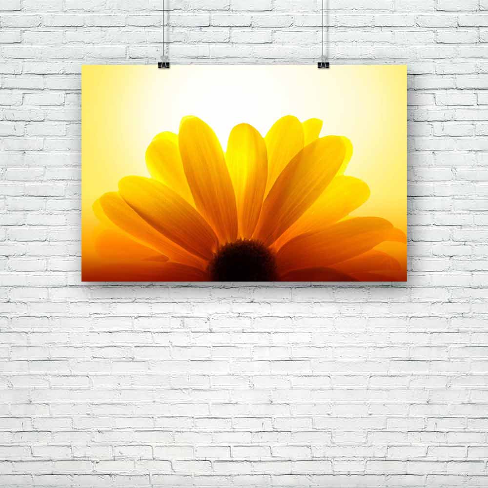 Sunflower D4 Unframed Paper Poster-Paper Posters Unframed-POS_UN-IC 5000985 IC 5000985, Abstract Expressionism, Abstracts, Botanical, Floral, Flowers, Landscapes, Nature, Patterns, Scenic, Semi Abstract, Sunsets, sunflower, d4, unframed, paper, poster, sunflowers, sunshine, yellow, background, harvest, abstract, backlit, beautiful, beauty, big, blossom, bright, closeup, color, crop, detail, flora, flower, garden, glow, glowing, happy, healthy, light, macro, natural, object, one, orange, organic, ornamental,