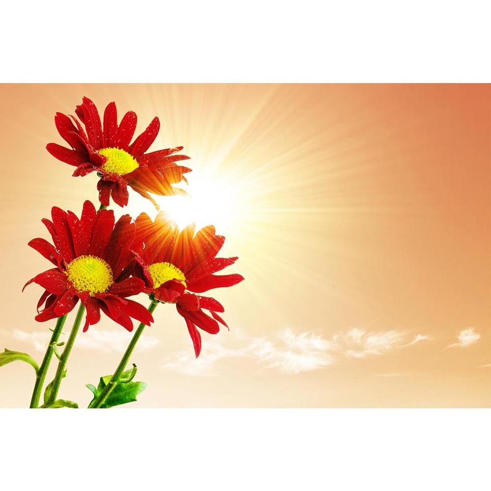 ArtzFolio Three Red Flowers Unframed Paper Poster-Paper Posters Unframed-AZART12956566POS_UN_L-Image Code 5000988 Vishnu Image Folio Pvt Ltd, IC 5000988, ArtzFolio, Paper Posters Unframed, Floral, Photography, three, red, flowers, unframed, paper, poster, wall, large, size, for, living, room, home, decoration, big, framed, decor, posters, pitaara, box, modern, art, with, frame, bedroom, amazonbasics, door, drawing, small, decorative, office, reception, multiple, friends, images, reprints, reprint, kids, bat