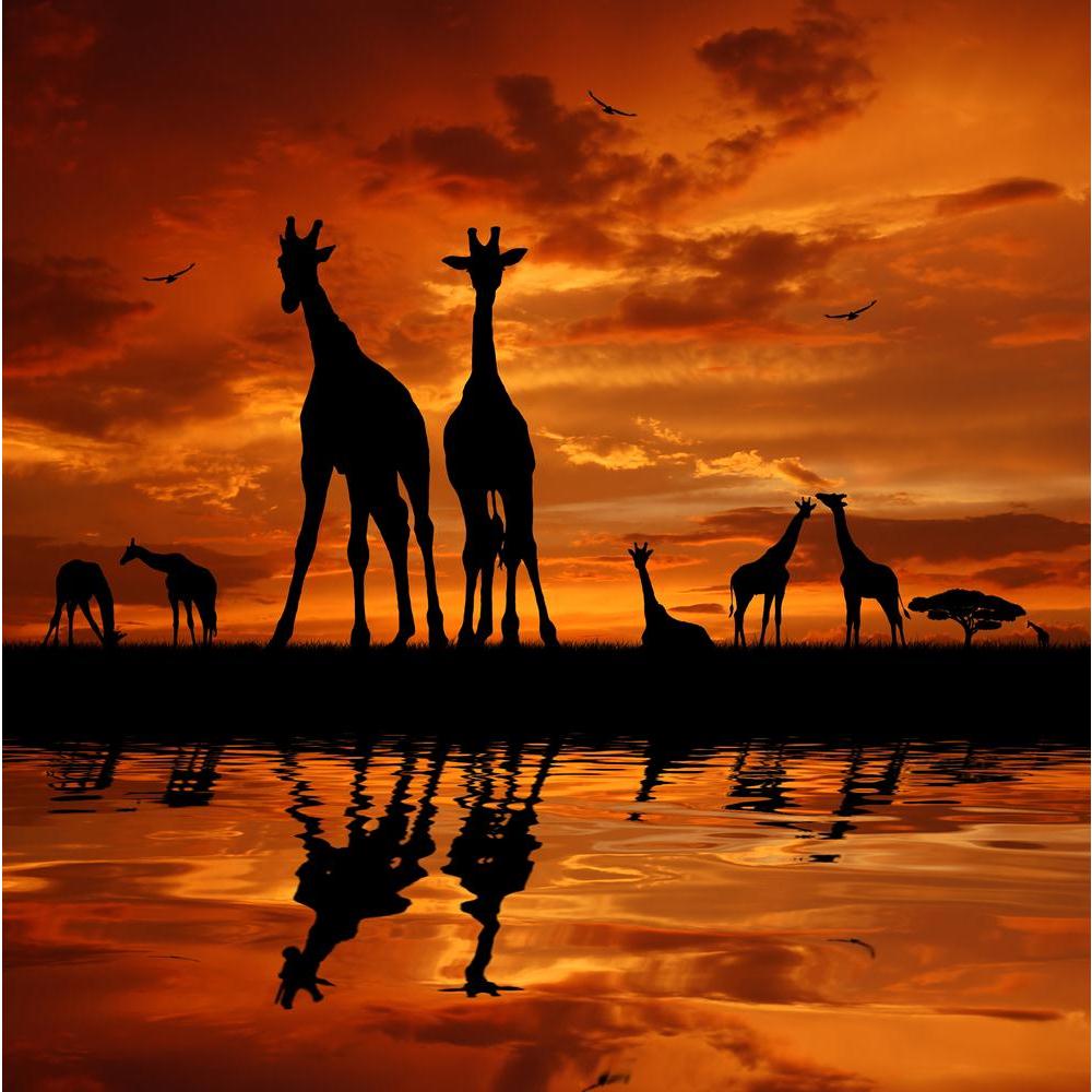 Two Giraffes Canvas Painting Synthetic Frame-Paintings MDF Framing-AFF_FR-IC 5000992 IC 5000992, African, Animals, Automobiles, Illustrations, Landmarks, Landscapes, Nature, Places, Scenic, Sunrises, Sunsets, Transportation, Travel, Vehicles, Wildlife, two, giraffes, canvas, painting, synthetic, frame, africa, animal, cloud, color, dawn, desert, dusk, environment, giraffe, illustration, kenya, land, landmark, landscape, mirror, orange, park, red, safari, savanna, scene, serengeti, silhouette, sky, sunlight,