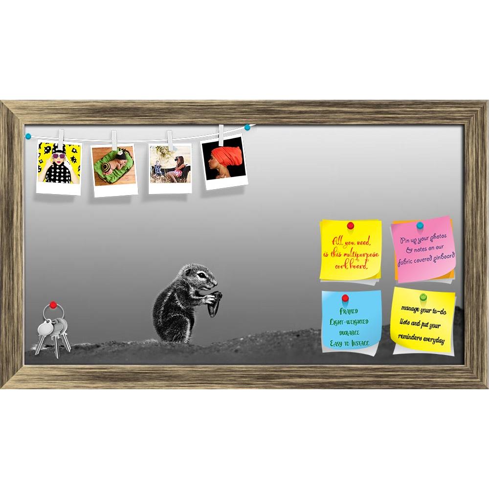 ArtzFolio Ground Squirrel Feeding In Desert Printed Bulletin Board Notice Pin Board Soft Board | Framed-Bulletin Boards Framed-AZSAO13056401BLB_FR_L-Image Code 5001011 Vishnu Image Folio Pvt Ltd, IC 5001011, ArtzFolio, Bulletin Boards Framed, Animals, Photography, ground, squirrel, feeding, in, desert, printed, bulletin, board, notice, pin, soft, framed, artistic, processing, pin up board, push pin board, extra large cork board, big pin board, notice board, small bulletin board, cork board, wall notice boar
