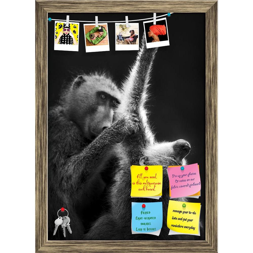 ArtzFolio Baboons Grooming Printed Bulletin Board Notice Pin Board Soft Board | Framed-Bulletin Boards Framed-AZSAO13056412BLB_FR_L-Image Code 5001013 Vishnu Image Folio Pvt Ltd, IC 5001013, ArtzFolio, Bulletin Boards Framed, Animals, Photography, baboons, grooming, printed, bulletin, board, notice, pin, soft, framed, artistic, processing, pin up board, push pin board, extra large cork board, big pin board, notice board, small bulletin board, cork board, wall notice board, giant cork board, bulletin board, 