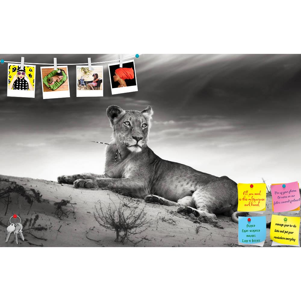 ArtzFolio Lioness On Desert Dune Printed Bulletin Board Notice Pin Board Soft Board | Frameless-Bulletin Boards Frameless-AZSAO13056431BLB_FL_L-Image Code 5001017 Vishnu Image Folio Pvt Ltd, IC 5001017, ArtzFolio, Bulletin Boards Frameless, Animals, Photography, lioness, on, desert, dune, printed, bulletin, board, notice, pin, soft, frameless, artistic, processing, pin up board, push pin board, extra large cork board, big pin board, notice board, small bulletin board, cork board, wall notice board, giant co