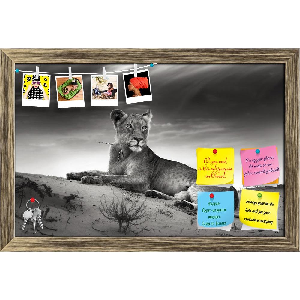 ArtzFolio Lioness On Desert Dune Printed Bulletin Board Notice Pin Board Soft Board | Framed-Bulletin Boards Framed-AZSAO13056431BLB_FR_L-Image Code 5001017 Vishnu Image Folio Pvt Ltd, IC 5001017, ArtzFolio, Bulletin Boards Framed, Animals, Photography, lioness, on, desert, dune, printed, bulletin, board, notice, pin, soft, framed, artistic, processing, pin up board, push pin board, extra large cork board, big pin board, notice board, small bulletin board, cork board, wall notice board, giant cork board, bu