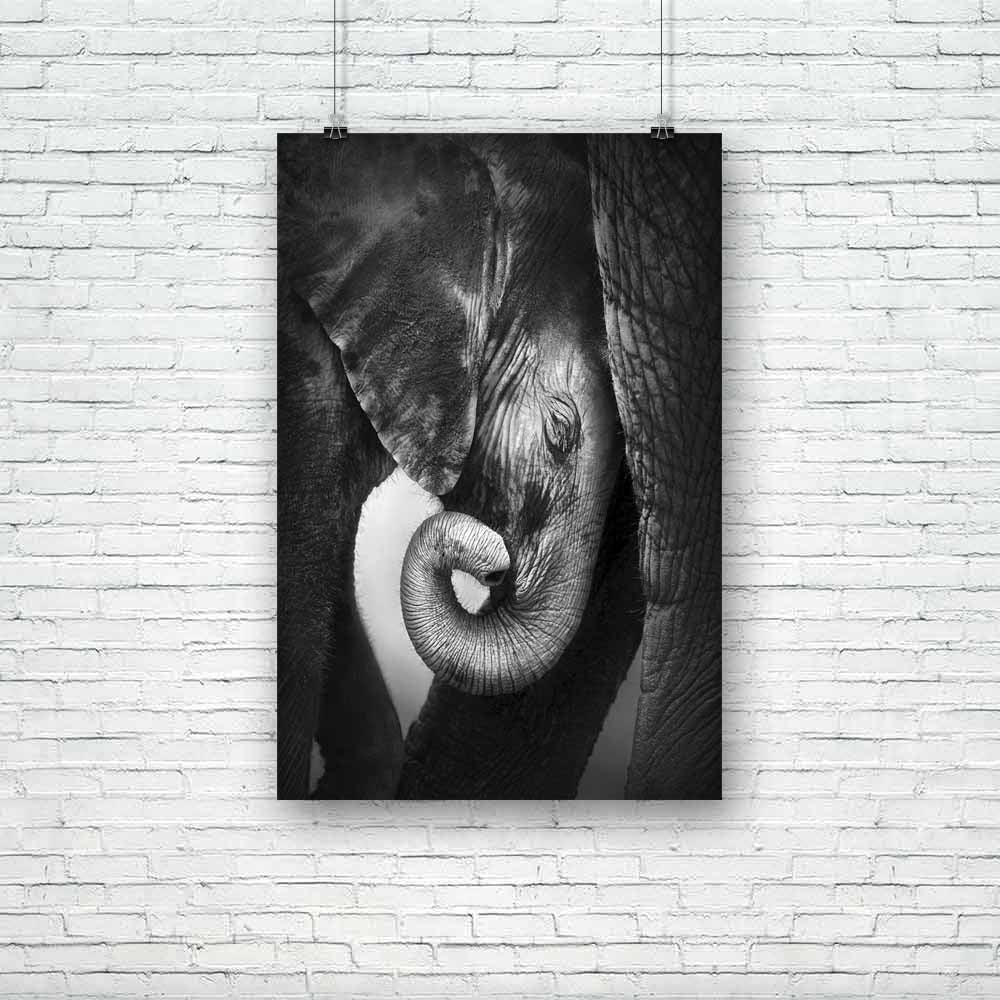 Baby Elephant Seeking Comfort Against Mother Unframed Paper Poster-Paper Posters Unframed-POS_UN-IC 5001019 IC 5001019, Animals, Baby, Black, Black and White, Children, Individuals, Kids, Portraits, White, Wildlife, elephant, seeking, comfort, against, mother, unframed, paper, poster, elephants, animal, head, behavior, calf, care, close, up, cow, curl, face, feel, interaction, lean, leg, little, mammal, monochrome, namibia, nobody, one, photograph, portrait, protect, protection, safe, safety, seek, small, t