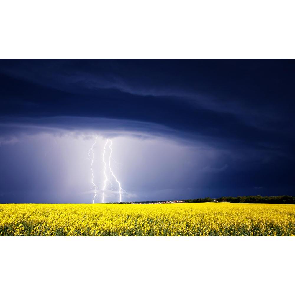 Summer Storm Canvas Painting Synthetic Frame-Paintings MDF Framing-AFF_FR-IC 5001023 IC 5001023, Botanical, Cities, City Views, Culture, Ethnic, Floral, Flowers, Landscapes, Nature, Religion, Religious, Rural, Scenic, Seasons, Traditional, Tribal, World Culture, summer, storm, canvas, painting, synthetic, frame, agriculture, background, beautiful, bolt, bright, cataclysm, climate, cloud, cornfield, countryside, danger, dazzle, dramatic, ecology, electricity, energy, environment, farm, field, flash, flora, f