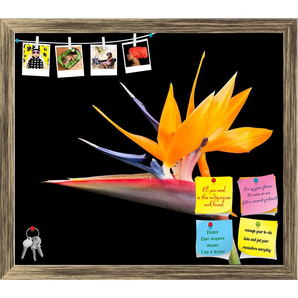 ArtzFolio Bird Of Paradise Flower D1 Printed Bulletin Board Notice Pin Board Soft Board | Framed-Bulletin Boards Framed-AZSAO13339123BLB_FR_L-Image Code 5001080 Vishnu Image Folio Pvt Ltd, IC 5001080, ArtzFolio, Bulletin Boards Framed, Floral, Photography, bird, of, paradise, flower, d1, printed, bulletin, board, notice, pin, soft, framed, cut, out, image, pin up board, push pin board, extra large cork board, big pin board, notice board, small bulletin board, cork board, wall notice board, giant cork board,