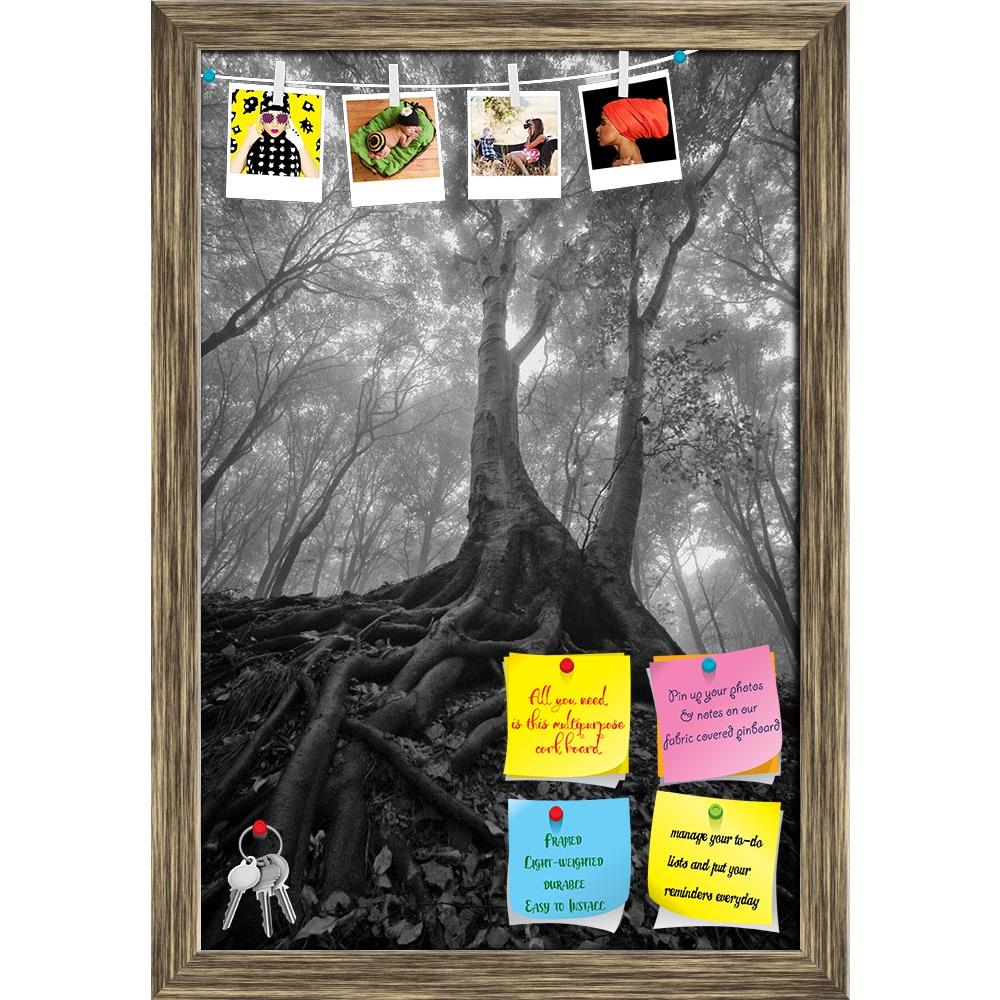 ArtzFolio Wet Roots Printed Bulletin Board Notice Pin Board Soft Board | Framed-Bulletin Boards Framed-AZSAO13403289BLB_FR_L-Image Code 5001091 Vishnu Image Folio Pvt Ltd, IC 5001091, ArtzFolio, Bulletin Boards Framed, Landscapes, Photography, wet, roots, printed, bulletin, board, notice, pin, soft, framed, tree, forest, pin up board, push pin board, extra large cork board, big pin board, notice board, small bulletin board, cork board, wall notice board, giant cork board, bulletin board, office notice board