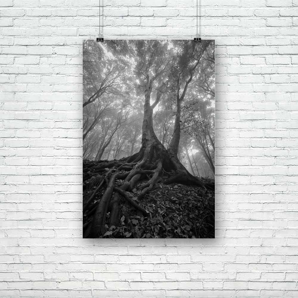 Wet Roots Unframed Paper Poster-Paper Posters Unframed-POS_UN-IC 5001091 IC 5001091, Black, Black and White, Fantasy, Nature, Scenic, Seasons, White, Wooden, wet, roots, unframed, paper, poster, autumn, background, dark, darkness, dawn, enchanted, evening, evil, fairytale, fear, fog, foggy, forest, giant, gray, ground, horror, huge, light, magic, magical, midnight, mist, monochrome, mood, moonlight, morning, mystery, night, nightmare, old, rain, rainy, ray, root, scary, season, shadow, spooky, texture, tran