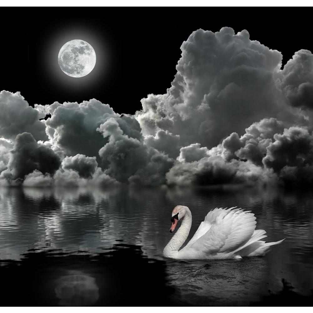 Pitaara Box White Swan At Night Unframed Canvas Painting-Paintings Unframed Regular-PBART13626608AFF_UN_L-Image Code 5001133 Vishnu Image Folio Pvt Ltd, IC 5001133, Pitaara Box, Paintings Unframed Regular, Birds, Landscapes, Photography, white, swan, at, night, unframed, canvas, painting, under, moon, large size canvas print, wall painting for living room without frame, decorative wall painting, artzfolio, large poster, unframed canvas painting, wall painting without frame, wall art for living room, canvas 