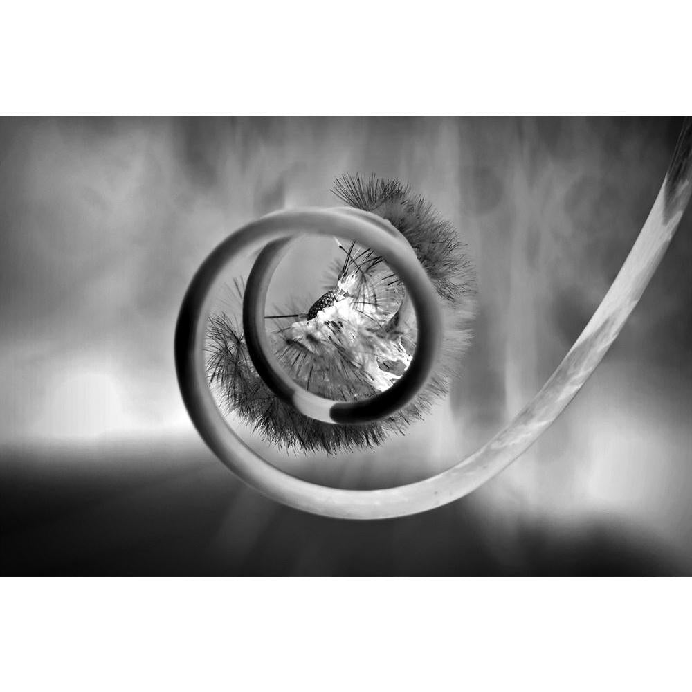 ArtzFolio Rebirth Unframed Paper Poster-Paper Posters Unframed-AZART13693462POS_UN_L-Image Code 5001138 Vishnu Image Folio Pvt Ltd, IC 5001138, ArtzFolio, Paper Posters Unframed, Abstract, Surrealism, Digital Art, rebirth, unframed, paper, poster, wall, large, size, for, living, room, home, decoration, big, framed, decor, posters, pitaara, box, modern, art, with, frame, bedroom, amazonbasics, door, drawing, small, decorative, office, reception, multiple, friends, images, reprints, reprint, kids, bathroom, d