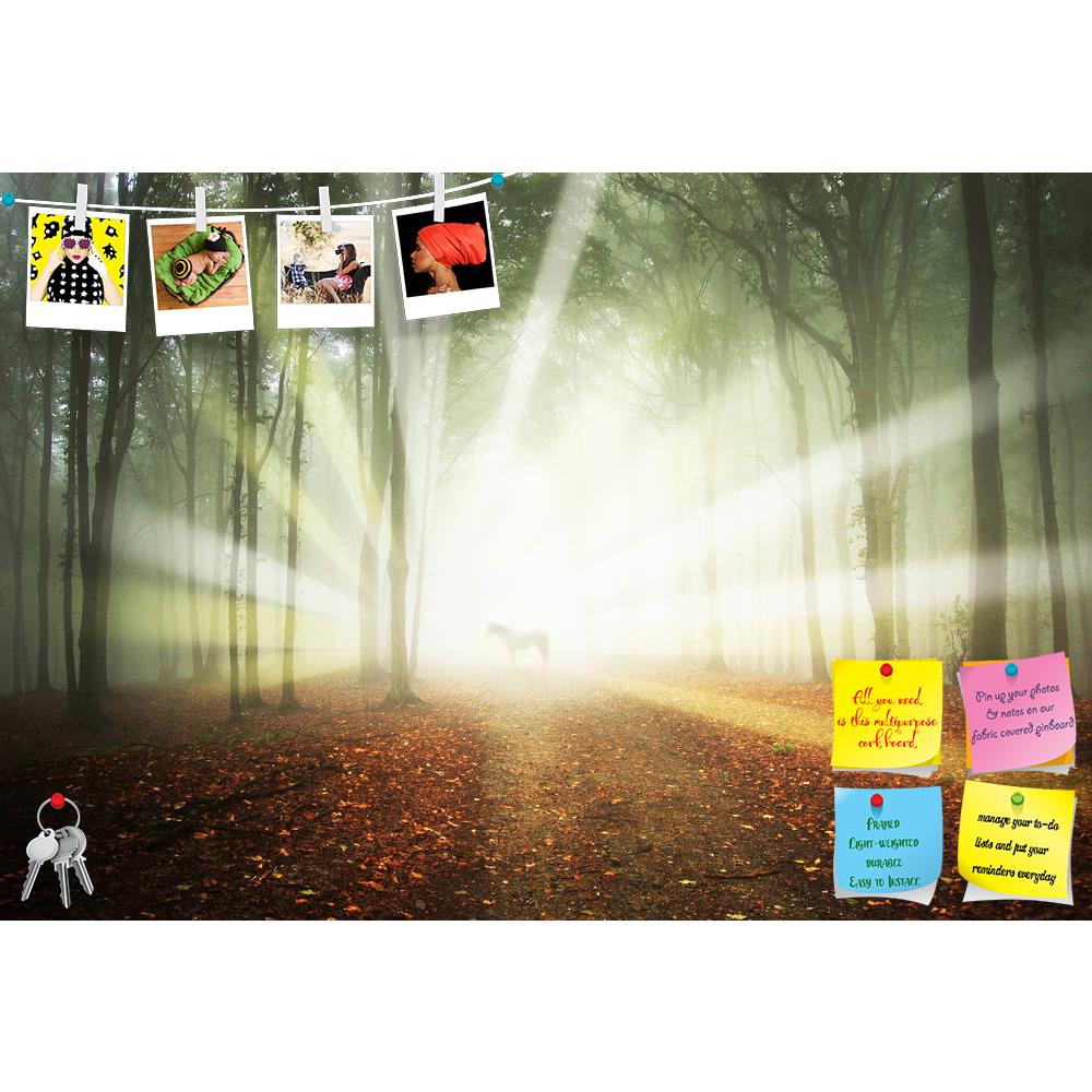 ArtzFolio White Horse In A Magical Forest Printed Bulletin Board Notice Pin Board Soft Board | Frameless-Bulletin Boards Frameless-AZSAO13840828BLB_FL_L-Image Code 5001171 Vishnu Image Folio Pvt Ltd, IC 5001171, ArtzFolio, Bulletin Boards Frameless, Landscapes, Photography, white, horse, in, a, magical, forest, printed, bulletin, board, notice, pin, soft, frameless, sun, rays, fog, between, trees, animal, autumn, beam, bright, dark, darkness, elegance, elegant, evening, evil, fairy, fairytale, fantasy, fogg
