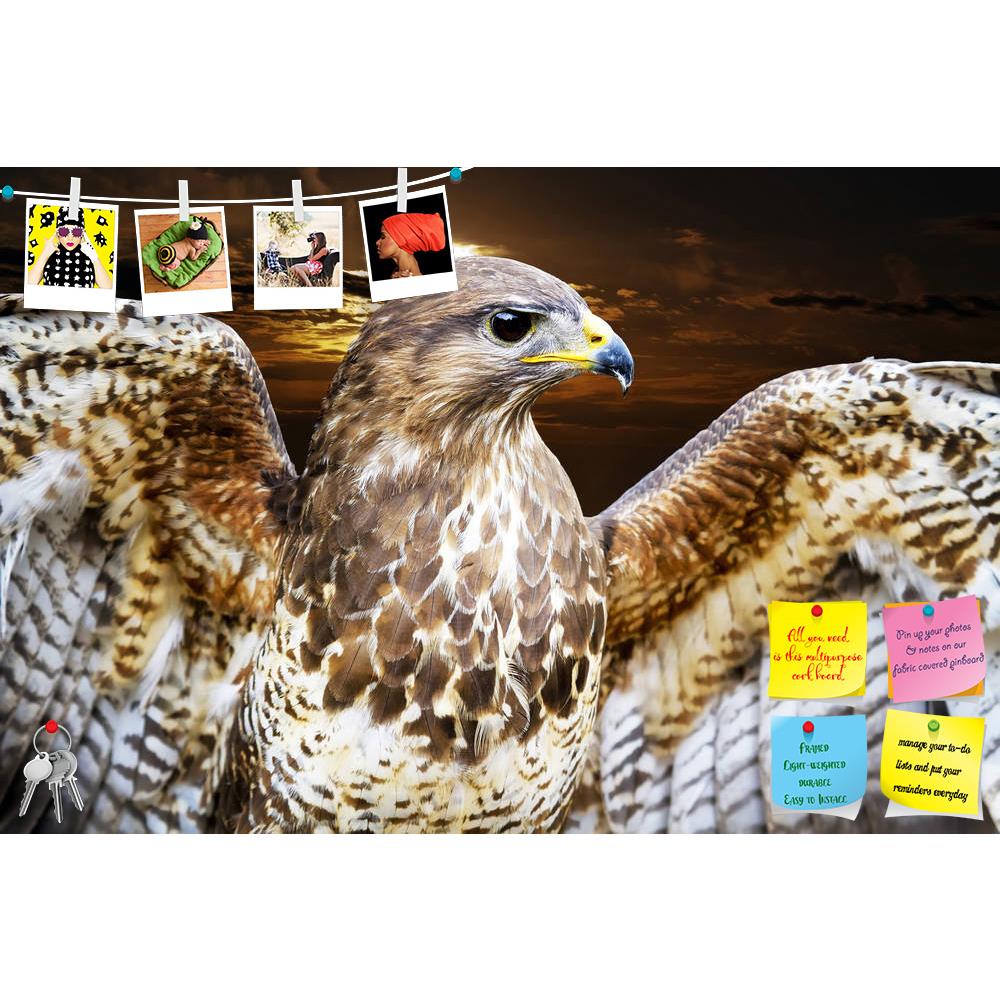ArtzFolio Beautiful Buzzard Bird Buteo Printed Bulletin Board Notice Pin Board Soft Board | Frameless-Bulletin Boards Frameless-AZSAO13936814BLB_FL_L-Image Code 5001200 Vishnu Image Folio Pvt Ltd, IC 5001200, ArtzFolio, Bulletin Boards Frameless, Birds, Photography, beautiful, buzzard, bird, buteo, printed, bulletin, board, notice, pin, soft, frameless, open, wings, sunset, background, aggressive, alert, animal, avian, beak, bill, brown, carnivore, close, closeup, color, common, eagle, endangered, eye, falc