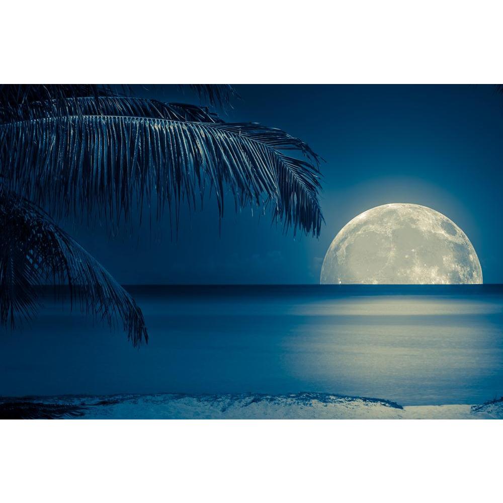 Full Moon Reflected On Calm Water Canvas Painting Synthetic Frame-Paintings MDF Framing-AFF_FR-IC 5001208 IC 5001208, Automobiles, Black, Black and White, Holidays, Landscapes, Nature, Scenic, Transportation, Travel, Tropical, Vehicles, White, full, moon, reflected, on, calm, water, canvas, painting, synthetic, frame, moonlight, romantic, night, beach, scene, lonely, background, beautiful, big, blue, caribbean, coast, coconut, dark, dawn, deserted, dusk, exotic, glow, holiday, island, landscape, light, midn
