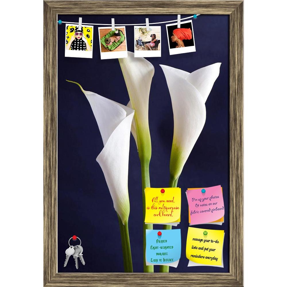 ArtzFolio White Callas Flower Printed Bulletin Board Notice Pin Board Soft Board | Framed-Bulletin Boards Framed-AZSAO14050959BLB_FR_L-Image Code 5001223 Vishnu Image Folio Pvt Ltd, IC 5001223, ArtzFolio, Bulletin Boards Framed, Floral, Photography, white, callas, flower, printed, bulletin, board, notice, pin, soft, framed, three, isolated, black, background, orizontal, vertical, pin up board, push pin board, extra large cork board, big pin board, notice board, small bulletin board, cork board, wall notice 