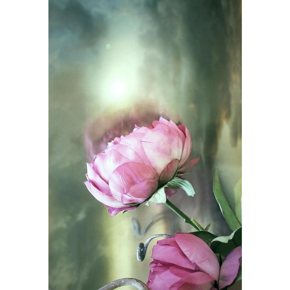 ArtzFolio Two Pink Roses With A Cloudy Sky Unframed Paper Poster-Paper Posters Unframed-AZART14090298POS_UN_L-Image Code 5001225 Vishnu Image Folio Pvt Ltd, IC 5001225, ArtzFolio, Paper Posters Unframed, Floral, Photography, two, pink, roses, with, a, cloudy, sky, unframed, paper, poster, wall, large, size, for, living, room, home, decoration, big, framed, decor, posters, pitaara, box, modern, art, frame, bedroom, amazonbasics, door, drawing, small, decorative, office, reception, multiple, friends, images, 