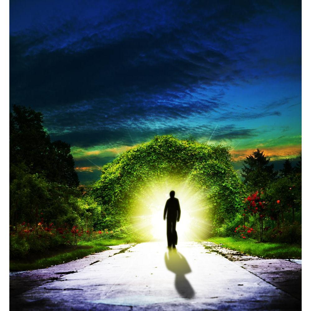 Pitaara Box Walking To Eden Abstract Spiritual Background Peel & Stick Vinyl Wall Sticker-Laminated Wall Stickers-PBART14149591LAM_UN_L-Image Code 5001231 Vishnu Image Folio Pvt Ltd, IC 5001231, Pitaara Box, Laminated Wall Stickers, Landscapes, Digital Art, walking, to, eden, abstract, spiritual, background, peel, stick, vinyl, wall, sticker, backgrounds, religion, faith, christianity, catholicism, symbol, heaven, hell, switching, portal, garden, mystical, otherworldly, transcendental, surreal, concept, nat