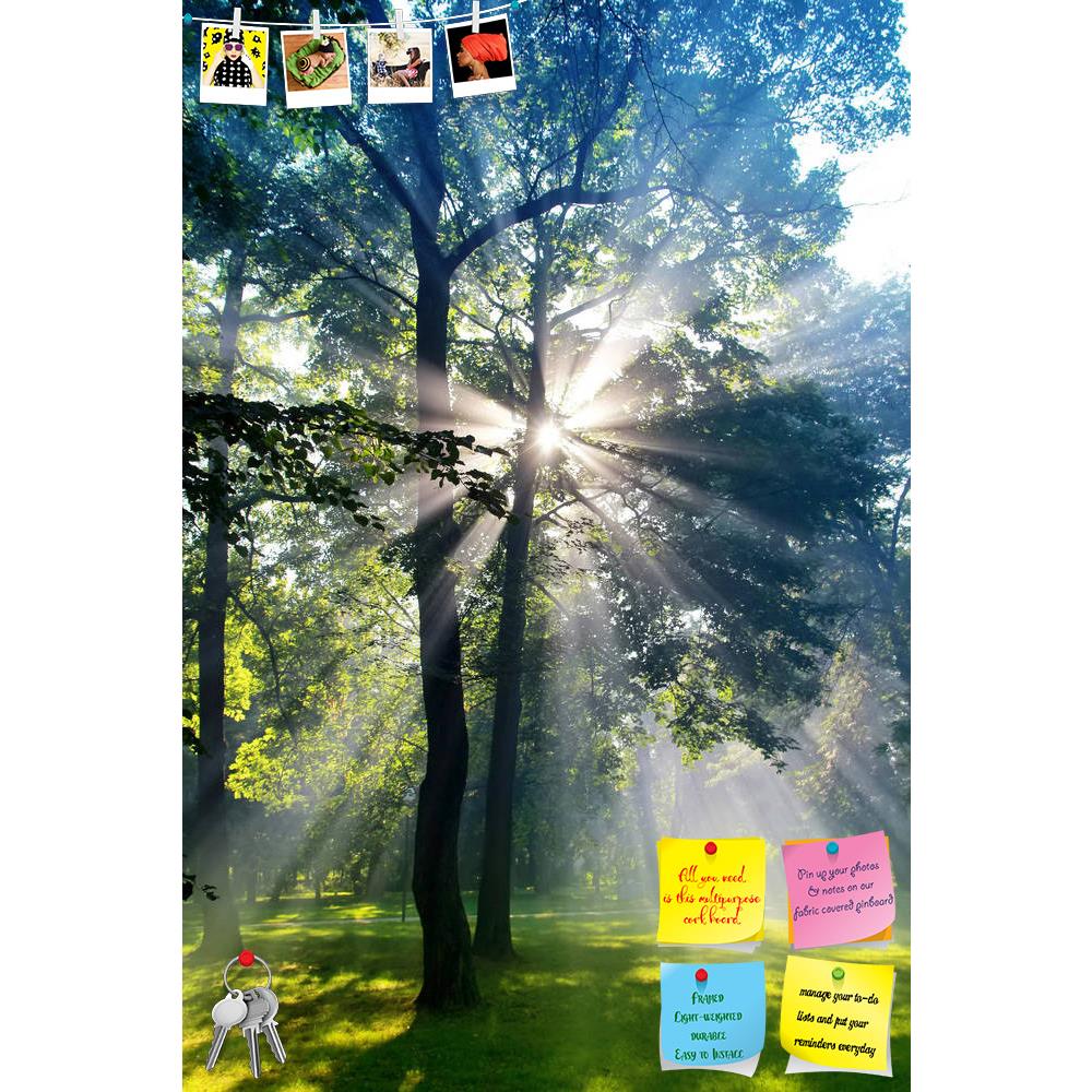 ArtzFolio Forest Sun Lights Like God Is Speaking Printed Bulletin Board Notice Pin Board Soft Board | Frameless-Bulletin Boards Frameless-AZSAO14270980BLB_FL_L-Image Code 5001248 Vishnu Image Folio Pvt Ltd, IC 5001248, ArtzFolio, Bulletin Boards Frameless, Landscapes, Photography, forest, sun, lights, like, god, is, speaking, printed, bulletin, board, notice, pin, soft, frameless, forrest, adventure, autumn, background, beams, beautiful, branches, colours, country, countryside, daylight, ecology, environmen
