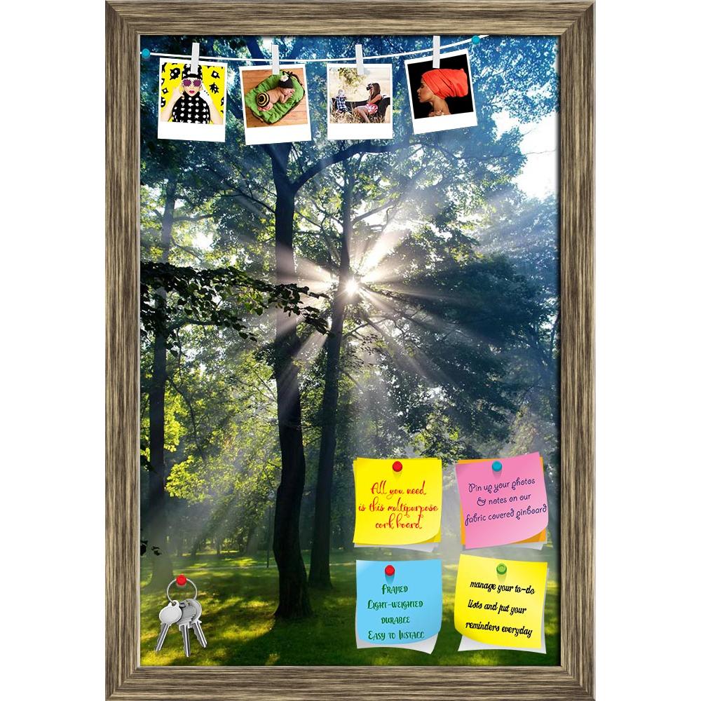 ArtzFolio Forest Sun Lights Like God Is Speaking Printed Bulletin Board Notice Pin Board Soft Board | Framed-Bulletin Boards Framed-AZSAO14270980BLB_FR_L-Image Code 5001248 Vishnu Image Folio Pvt Ltd, IC 5001248, ArtzFolio, Bulletin Boards Framed, Landscapes, Photography, forest, sun, lights, like, god, is, speaking, printed, bulletin, board, notice, pin, soft, framed, forrest, adventure, autumn, background, beams, beautiful, branches, colours, country, countryside, daylight, ecology, environment, fairy, fa