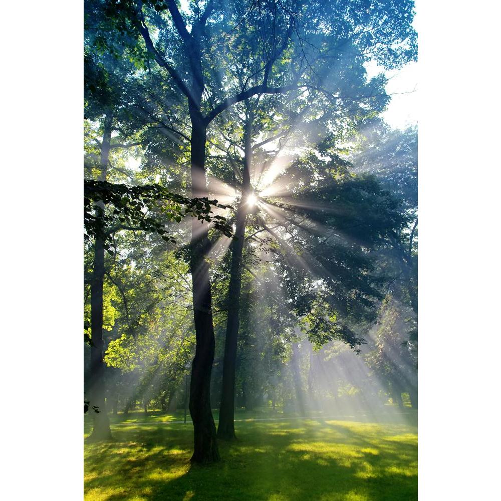 Pitaara Box Forest Sun Lights Like God Is Speaking Unframed Canvas Painting-Paintings Unframed Regular-PBART14270980AFF_UN_L-Image Code 5001248 Vishnu Image Folio Pvt Ltd, IC 5001248, Pitaara Box, Paintings Unframed Regular, Landscapes, Photography, forest, sun, lights, like, god, is, speaking, unframed, canvas, painting, forrest, adventure, autumn, background, beams, beautiful, branches, colours, country, countryside, daylight, ecology, environment, fairy, fairytale, fall, green, hike, hiking, land, landsc